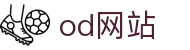 OD(中国)体育有限公司
